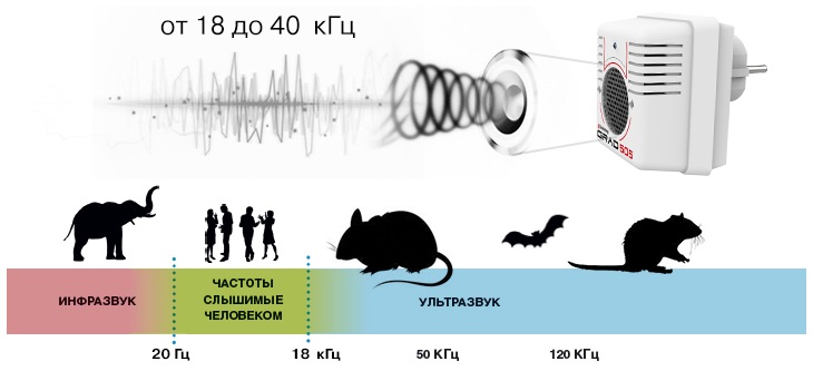 "Град 505" работает в неслышимом для людей и домашних животных ультразвуковом диапазоне частот