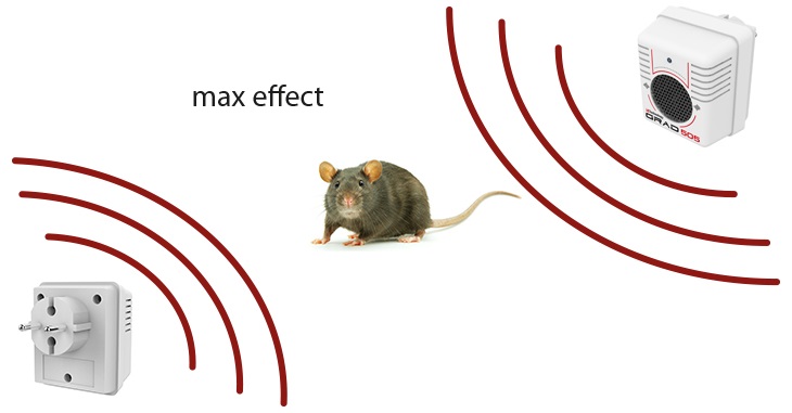 Несколько одновременно действующих источников УЗ сигнала оказывают на грызунов максимальный отпугивающий эффект