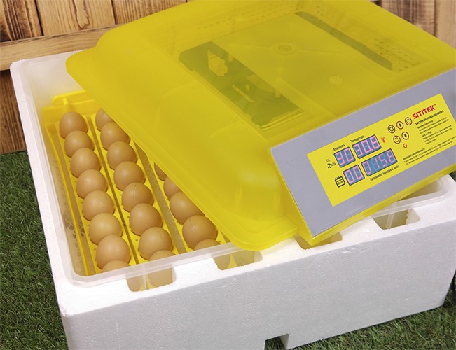Бытовой инкубатор для 48 куриных яиц SITITEK 48