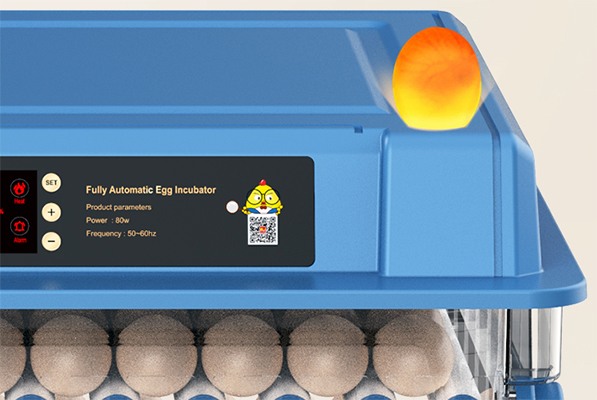 Инкубатор для яиц WQ-64