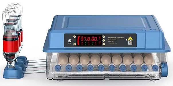 Инкубатор для яиц WQ-64