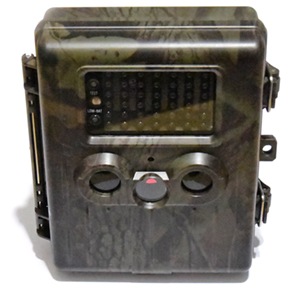 Камуфляжная расцветка незаметна на фоне деревьев и кустов 