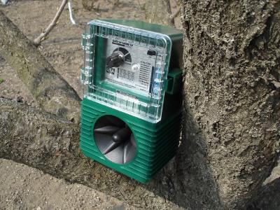 Биоакустический отпугиватель птиц AntiBird Pro, установленный на дереве