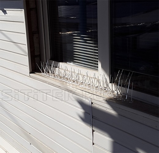 Антиприсадные шипы "Барьер", установленные на окне (нажмите на фото для увеличения)
