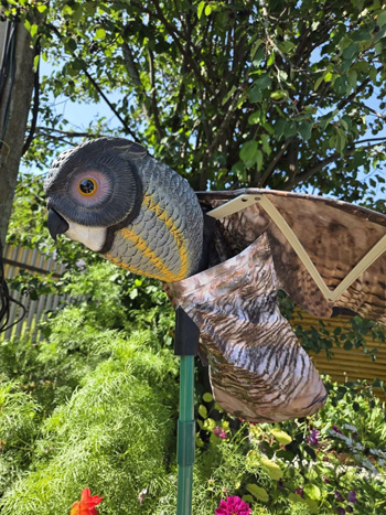 Визуальный отпугиватель птиц Филин