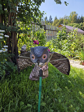 Визуальный отпугиватель птиц Филин