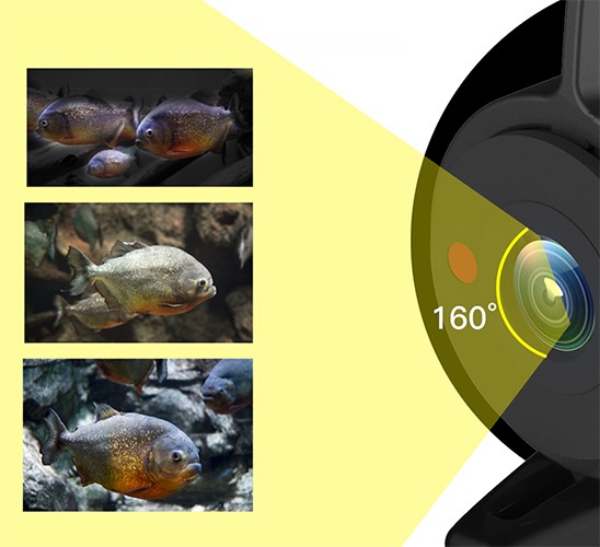 Видеокамера для рыбалки с функцией видеозаписи FishCam 3000LED