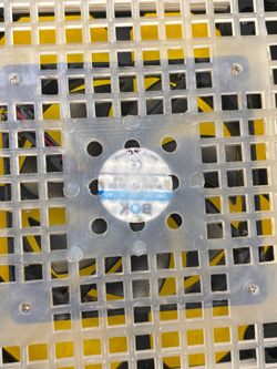 Бытовой инкубатор для яиц SITITEK 96 Уценка