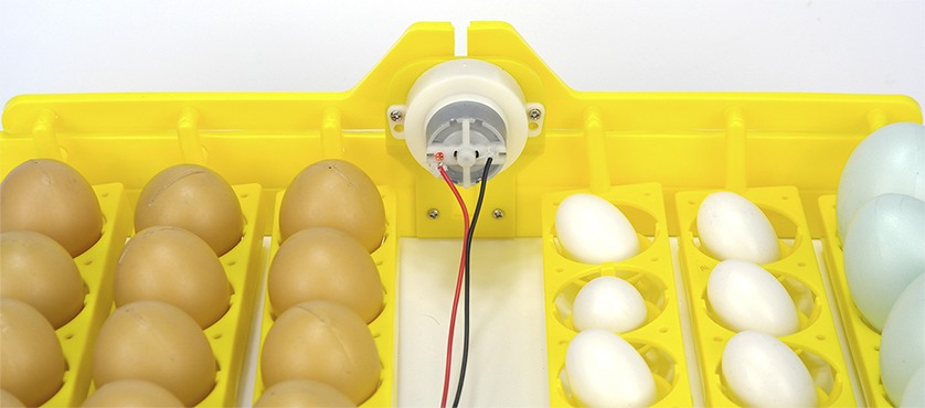 Бытовой инкубатор для яиц SITITEK 96