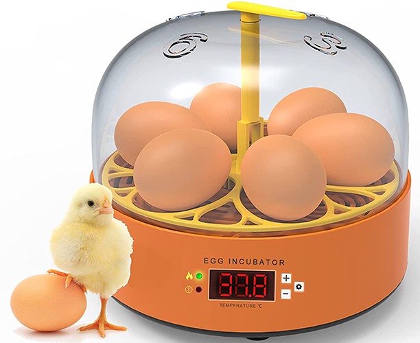 Автоматический мини инкубатор для куриных яиц SITITEK 6X