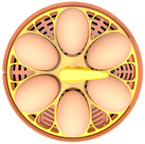 Автоматический мини инкубатор для куриных яиц SITITEK 6X
