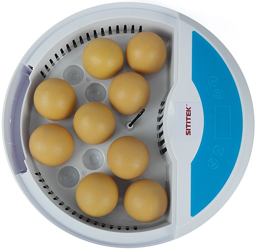 Автоматический мини инкубатор для куриных и перепелиных яиц SITITEK 9 LED
