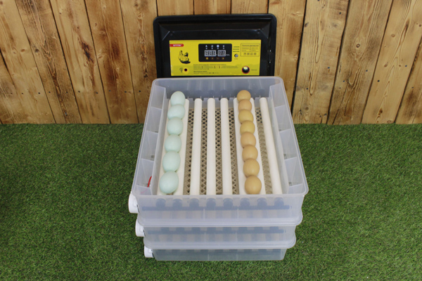 Инкубатор для яиц "SITITEK 196"