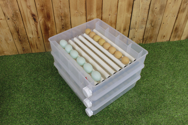 Инкубатор для яиц "SITITEK 196"