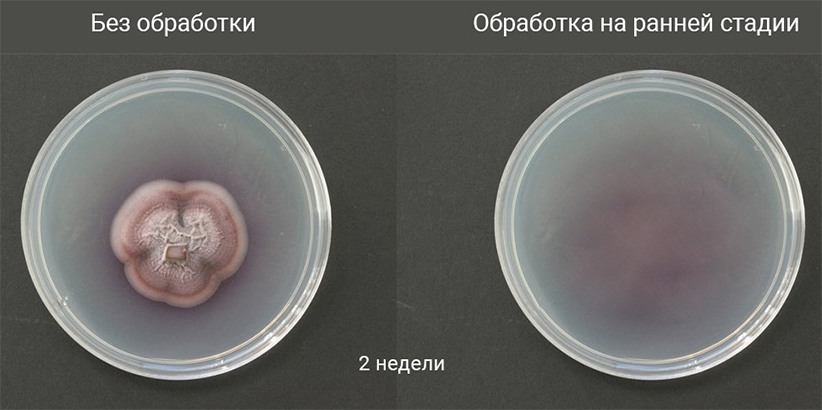 Портативный стерилизатор "SITITEK БИО-2"