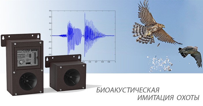 крики имитируют нападение хищников