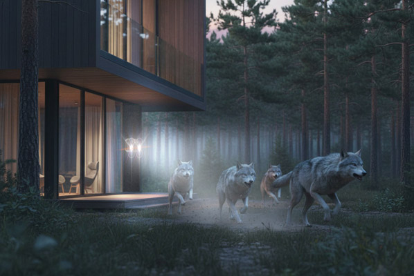 Четыре активных фактора защиты против диких/бездомных животных, грызунов и птиц!