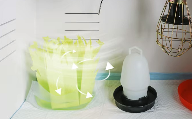 Через отверстия для вентиляции в брудер HD 40W Мини постоянно поступает свежий воздух