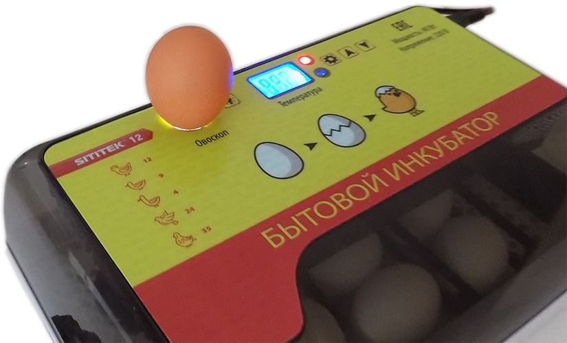 Овоскоп позволит вам быстро проверять яйца на просвет перед закладкой