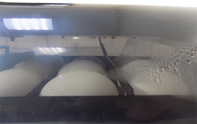 Датчик температуры находится в непосредственной близости к яйцам