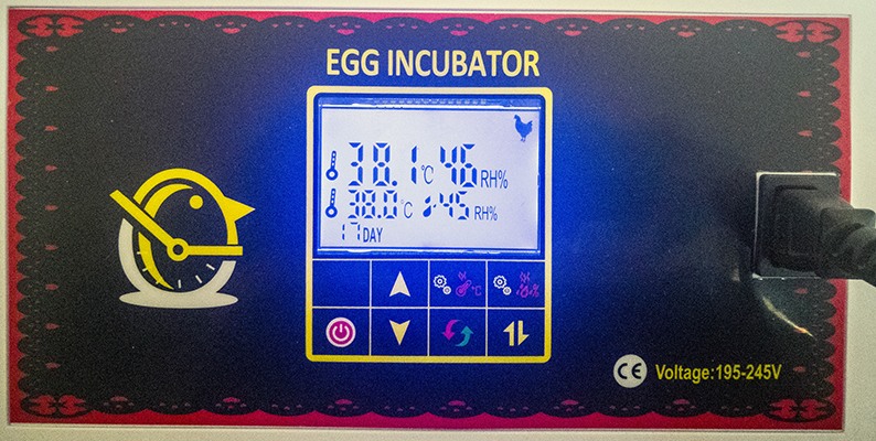 Автоматический инкубатор для яиц "HHD 360"
