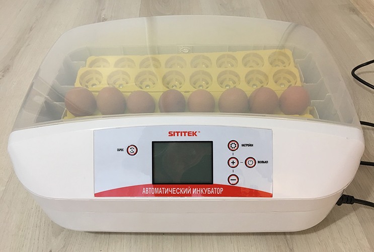 "SITITEK 32" — компактный инкубатор для выведения цыплят с автоматическим поддержанием оптимального микроклимата