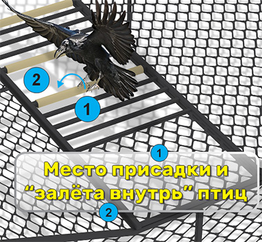 Конструкция клетки продумана до мелочей