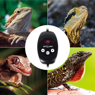 Терморегулятор ReptiZoo TC02 разработан специально для террариумов