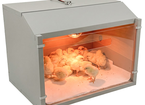 Автоматический брудер для цыплят "SITITEK 35W"