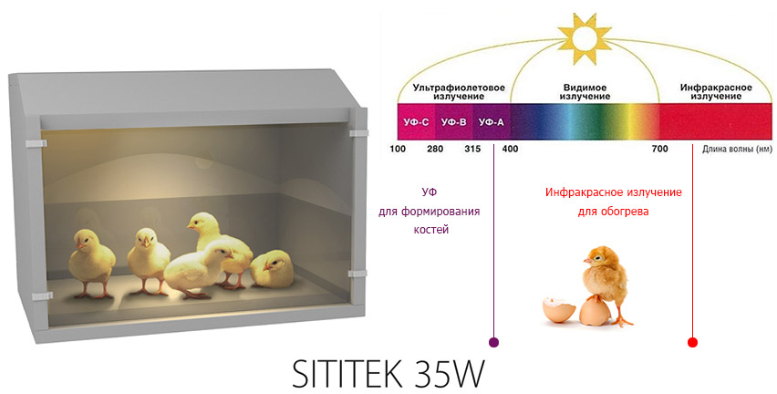 Автоматический брудер для цыплят "SITITEK 35W"
