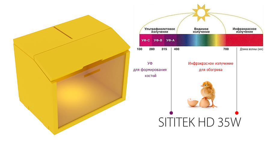 Автоматический брудер для цыплят "SITITEK HD 35W"