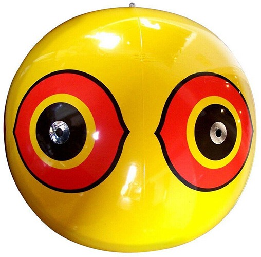 Виниловый 3D шар с глазами хищника