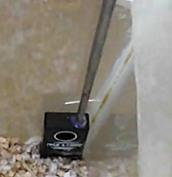 Видеоэксперимент по тестированию эффективности отпугивателя мышей и крыс для сарая "ГРАД А-550УЗ"