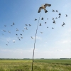 Отпугиватель птиц динамический "SITITEK Кондор-140" с флагштоком 4 м