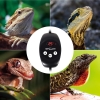 Терморегулятор "ReptiZoo TC02"