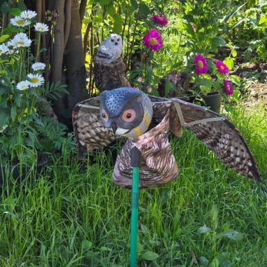 Отпугиватель птиц "Филин"