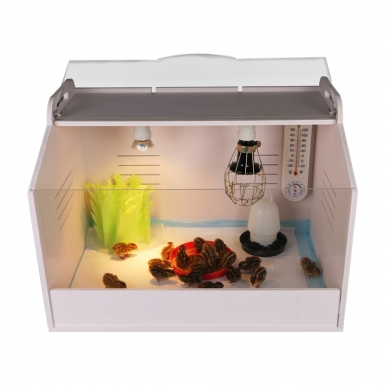 Брудер для цыплят "HD 40W"