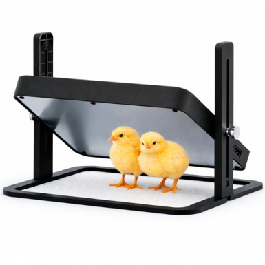 Брудер для цыплят "Wonegg 13W"